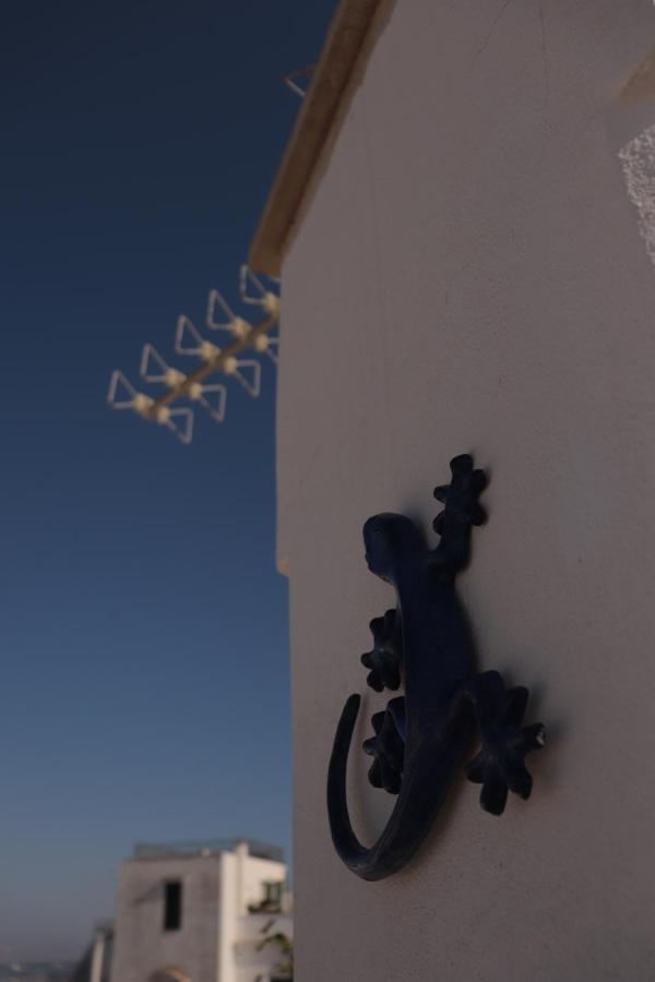 B&B Salentus Gallipoli Dış mekan fotoğraf